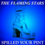 the flaming stars - spilled your pint - vinyl japan-2004