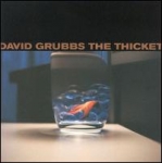 david grubbs - the thicket - drag city - 1998