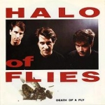 halo of flies - death of a fly - amphetamine reptile - 1989