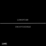 lungfish - indivisible - dischord - 1997