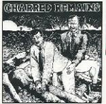charred remains-pink turds in space - split 7 - slap a ham - 1991