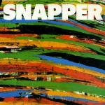 snapper - st - flying nun - 1988