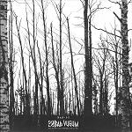 circle - silver - bad vugum-1993