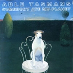 able tasmans - somebody ate my planet - flying nun - 1992
