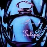 tulips - night of the hunter - sonic bubblegum - 1995