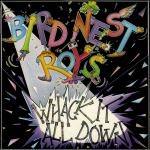 bird nest roys - whack it all down - flying nun - 1985
