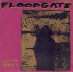 floodgate - i choose danger - no idea - 1995