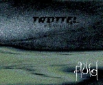 trottel - fluid - trottel - 2000