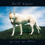 david kilgour - spiritual gas station - flying nun - 1994