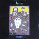 james - what for - blanco y negro-1988