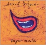 david kilgour - sugar mouth - flying nun - 1994
