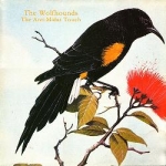 the wolfhounds - the anti-midas touch - the pink label - 1986