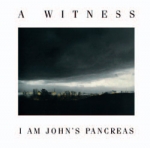 a witness - i am john pancreas - ron johnson