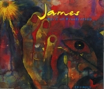james - born of frustration - fontana, phonogram-1992