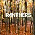 panthers - things are strange - vice, city slang-2004