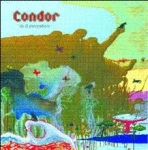 condor - do it everywhere - birds go south