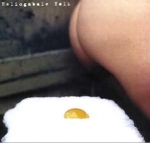 heliogabale - yolk - agony-1995