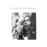catherine wheel - she's my friend - wilde club-1991