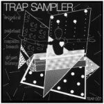 wipers-napalm beach - v/a: - trap-1981