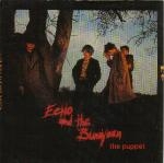 echo and the bunnymen - the puppet - korova - 1980