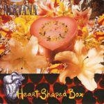 nirvana - heart-shaped box - geffen-1993